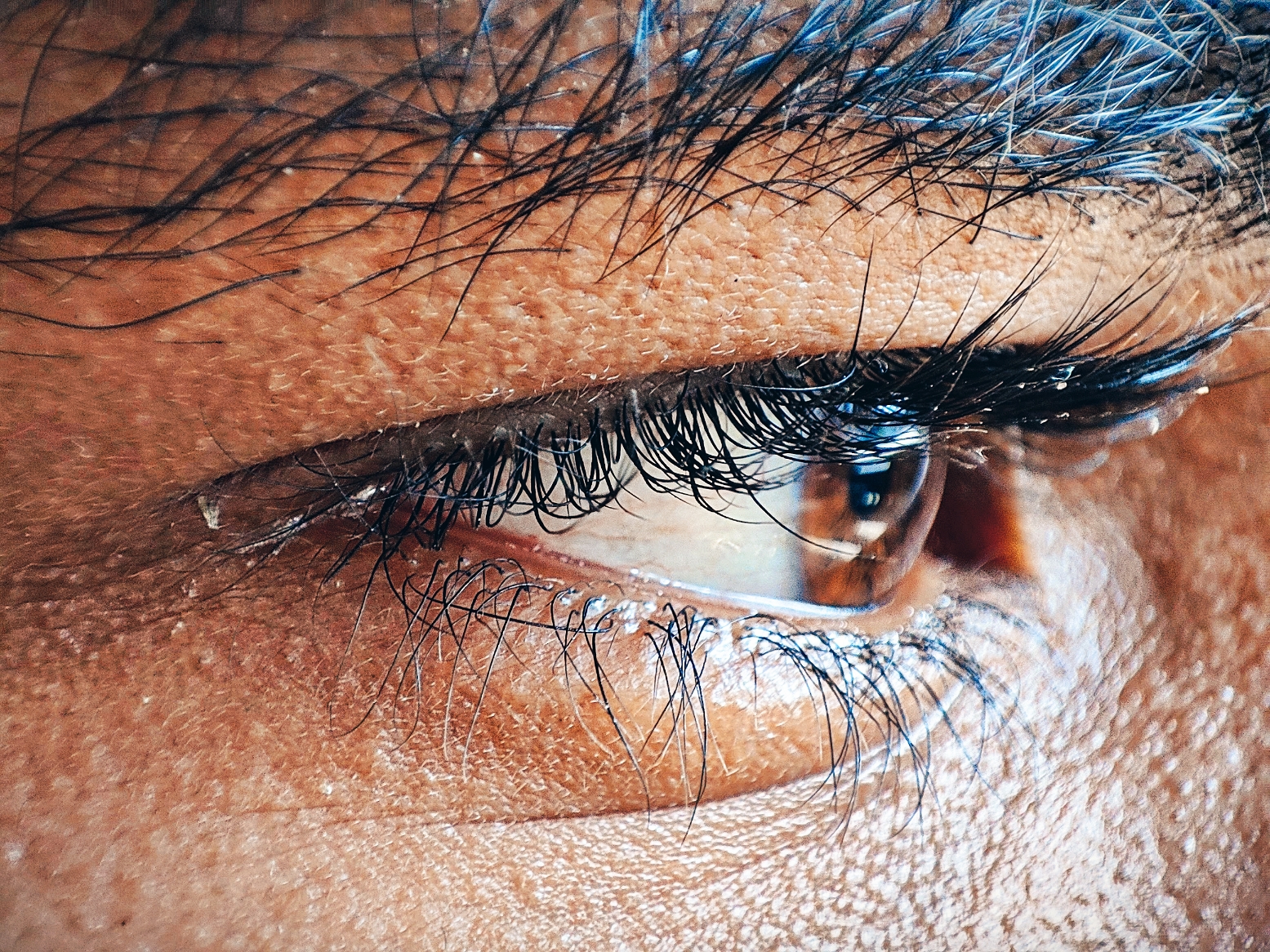 human eye macro shots